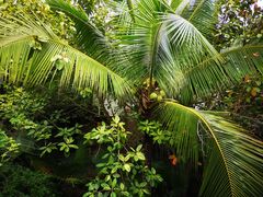 -三亚珠江南田温泉度假区