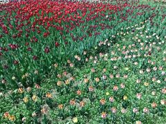 -长春公园(普阳街道)