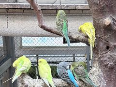 -正佳雨林生态植物园