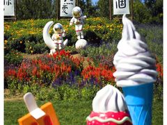 -北京国际鲜花港