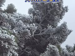 -梅州天地人花园酒店(梅县人民广场店)