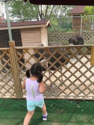 -萌宠亲子动物乐园(槐房万达店)