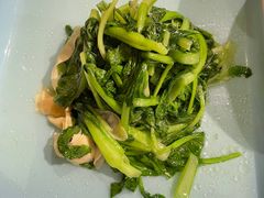清炒鸡毛菜-三玛璐酒楼(汉口路店)