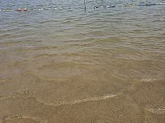 -碧海金沙