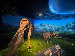 -安徽省地质博物馆