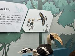 -武汉园博园(武汉自然博物馆)
