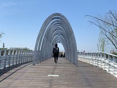 -大兴滨河森林公园