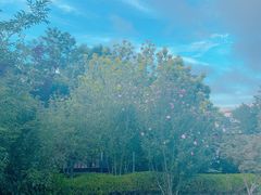 -大连植物园