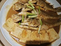 -船歌·鱼水饺青岛菜(金狮广场店)