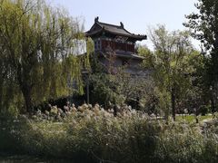 -武清南湖绿博园