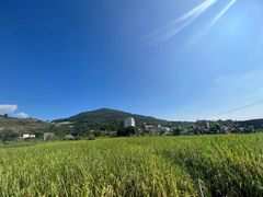 -元初会员体验中心