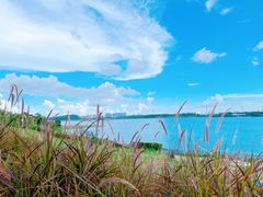 -露天矿生态公园