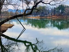 -承德避暑山庄景区