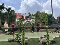 -新加坡飞禽公园