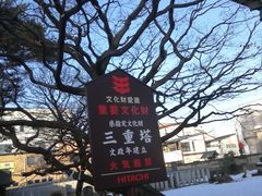 -医王山·飞騨国分寺