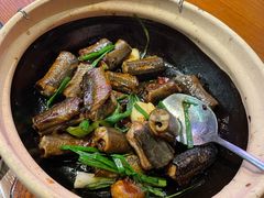 招牌啫黄鳝-啫神·广州地标美食(北京路店)