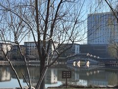 -西海子公园