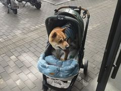 -烘焙町面包店(西四店)
