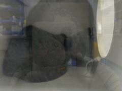 -博特宠物医院24h犬猫全科.骨科·异宠