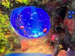 -沈阳海洋探索中心