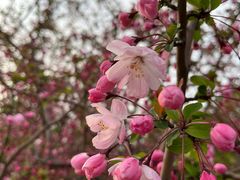 -同济大学-北苑食堂
