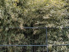 -北京动物园
