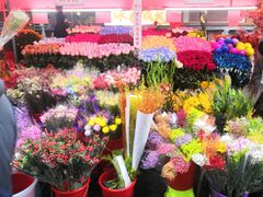 -越秀西湖花市(广州城市广场花卉店)