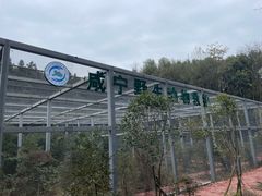-潜山国家森林公园