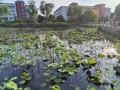 -南京信息职业技术学院