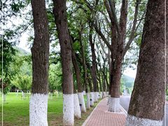 -棒棰岛宾馆景区