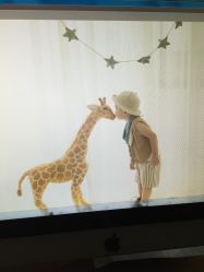 点击看大图 -星宝贝儿童摄影