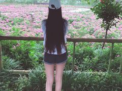 -海上花岛玫瑰园采摘