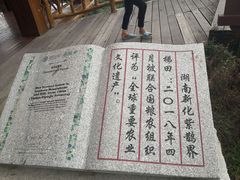 -紫鹊界梯田景区