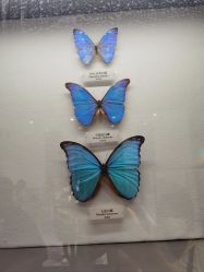 -酷嗒动物文化乐园(cutezoo西溪乐天城店)