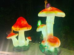 -大塘金香草谷