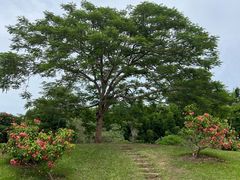 -中国科学院西双版纳热带植物园