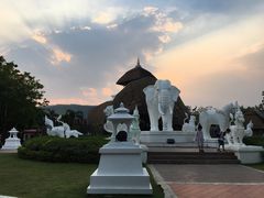 -清迈夜间动物园