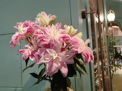 -南堂馆·新川菜(春熙路店)