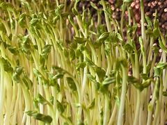 -牛品福潮汕牛肉火锅(旺庄店)