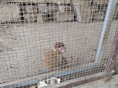 -河北村民俗体验园
