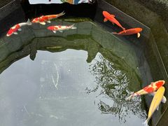 -西安市广仁寺