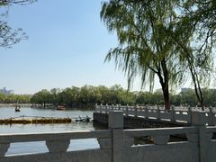 -北陵公园