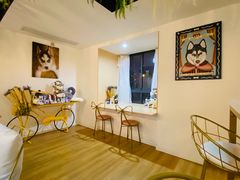 -Husky Go! 哈士奇体验馆·宠物咖啡厅狗咖