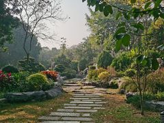 -东莞植物园