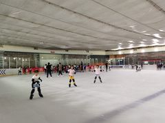 -松江大学城体育馆滑冰馆
