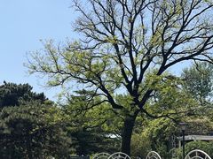 -国家植物园南园