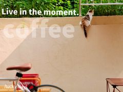 -舊新事咖啡NOTHING NEW COFFEE