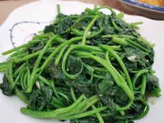 清炒番薯叶-轩记海鲜餐厅·四十五年老字号·经典粤菜(西区彩虹店)