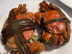 -晶丽香榭自助餐(南京大饭店)