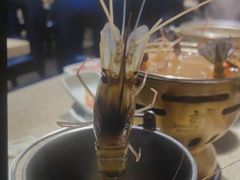 -初色海鲜自助(万丰路店)